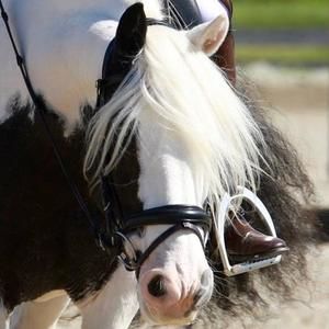 Meet your Posher, Beth